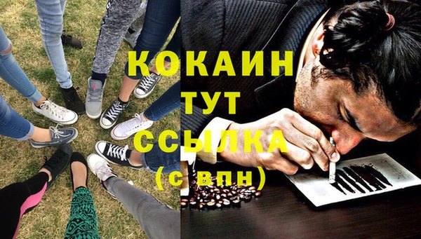 дживик Алексеевка